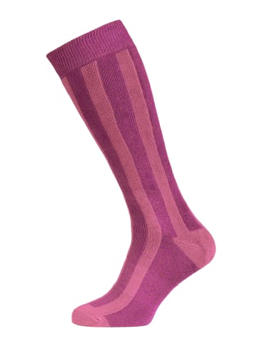Protest " PRTEvany in Rebel Purple