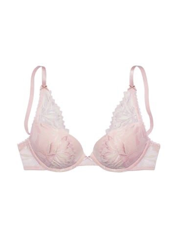 LASCANA Push-up-BH in rose-creme