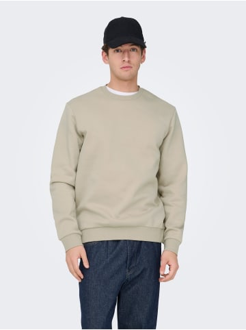 ONLY & SONS Sweatshirt in Silver Lining 1