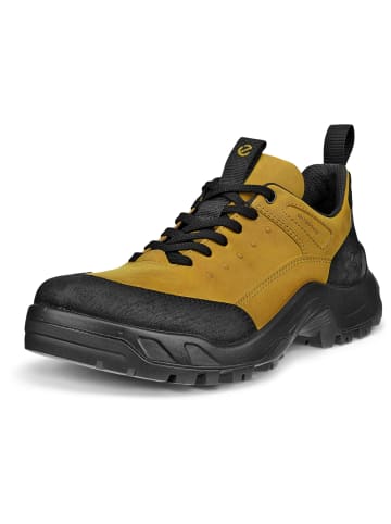 Ecco Sneaker in beige