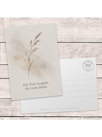 Mr. & Mrs. Panda Trauerspruchkarte Grashalm minimalistisch Desig... in Weiß