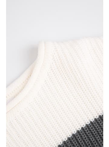 Coccodrillo Strickpullover in schwarzgrau