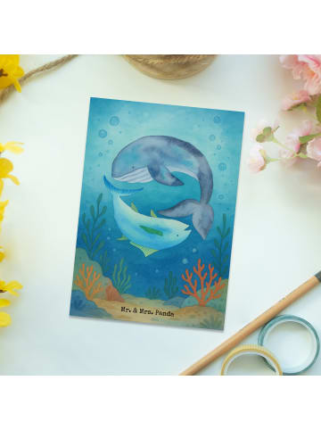 Mr. & Mrs. Panda Postkarte Walfisch Thunfisch Design ohne Spruch in Weiß