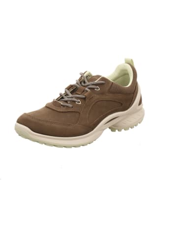 Ecco Schnürschuh in grau