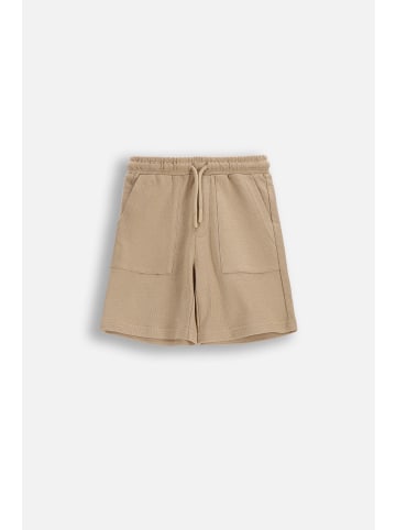 Coccodrillo Kurze Hosen in beige