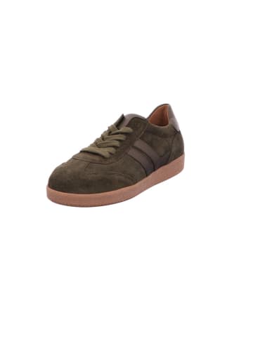 Gabor Sneaker Low in grün