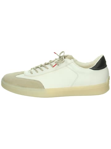 Think! Sneaker in weiss