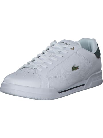 Lacoste Sneakers Low in White/dark green