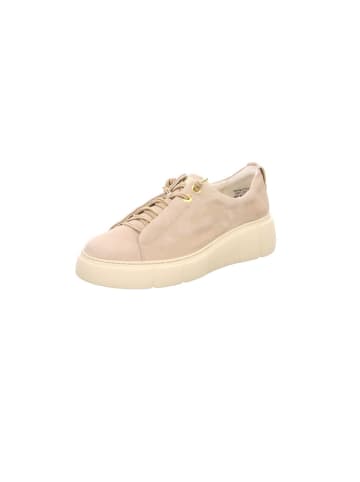 Paul Green Sneaker für Damen in beige