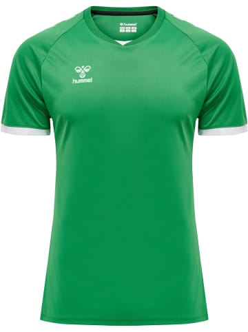 Hummel Hummel T-Shirt Raglanärmel Hmlcore Erwachsene in JELLY BEAN