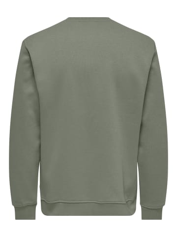 ONLY & SONS Sweatshirt in Castor Gray 1