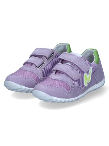 Naturino Low Sneaker SAMMY  in Violett
