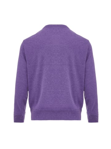 aleva Damen Pullover in Violett