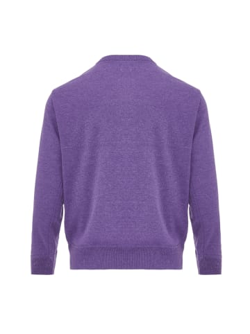 aleva Pullover in Violett