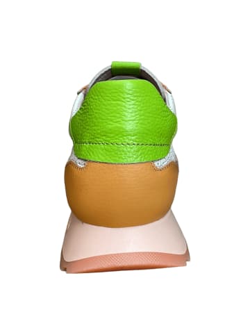 Hispanitas Sneaker Low in Grün