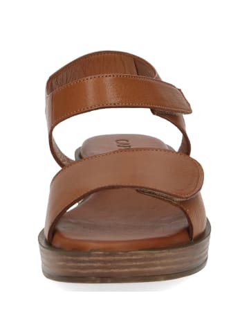 Caprice Keilsandaletten in Braun