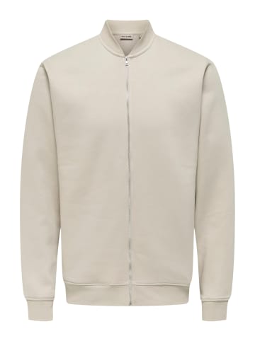 Only&Sons Sweatshirt 'Ceres' in grau