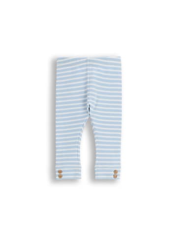 Coccodrillo Baumwoll-Leggings mit langem Bein in hellblau