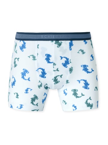 Schiesser Trunk 955 in aquarium