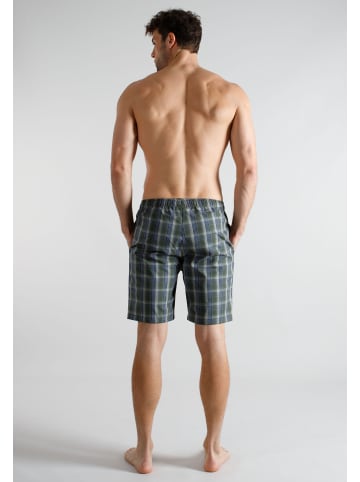 Tom Tailor Bermuda Dakota in grün-dunkel-Karo