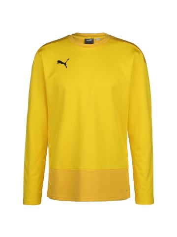 Puma Trainingspullover TeamGOAL 23 in gelb / dunkelgelb