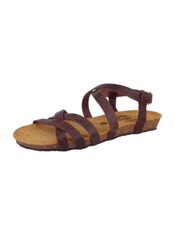Plakton Sandalen braun
