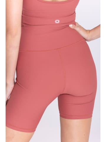 Onamaste Shorts Lotus in Aprikose