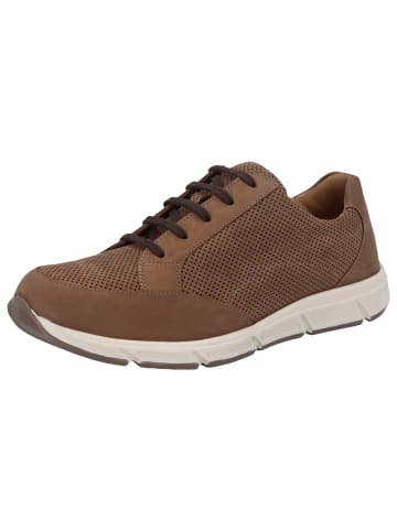 Solidus Schnürschuhe Kai - Weite K in Braun