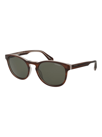 Superdry Männer Sonnenbrille Panto Braun