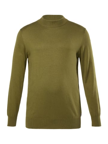 JP1880 Pullover in kaktus