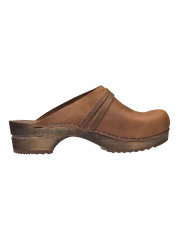 Sanita Clogs in Chestnut