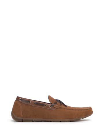 Wittchen Loafers in Brown