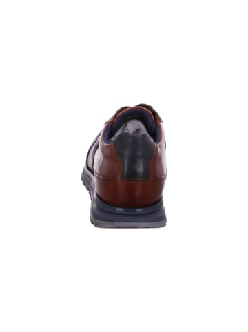 Bugatti Sneaker Cirino in Braun