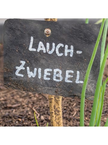 10 x Pflanzenschilder "Schiefer" in Anthrazit