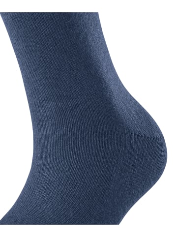 Falke Socken Cosy Wool in Lapisblue