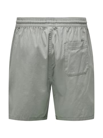 Only&Sons Shorts 'Tell Life 0119' in grau