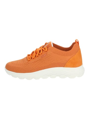 Geox Sneaker Orange