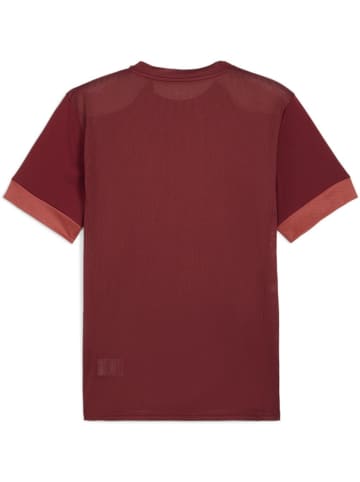 Puma Sportshirt "TeamGoal Matchday Jersey" in Rot