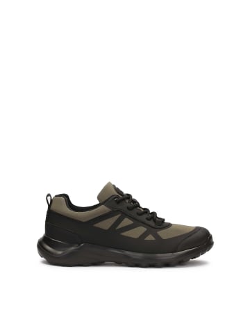 Kazar Sneaker Low in Khaki