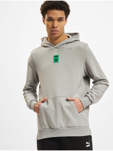 Puma Hoodie in grey