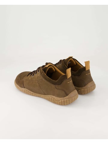 Josef Seibel Sneaker low in Braun