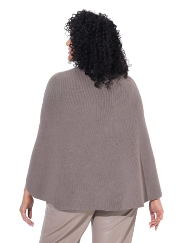 Ulla Popken Pullover in blassbraun