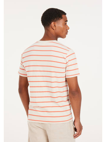 Protest " PRTCHEF in Kitoffwhite