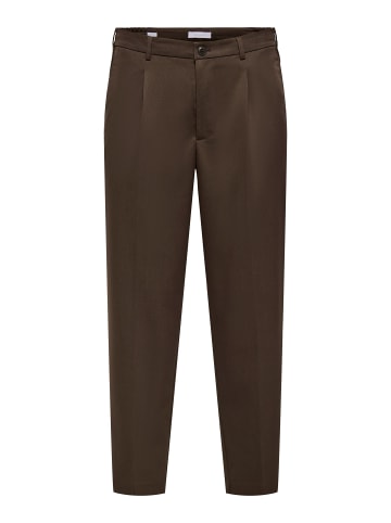 Chino Hose in Demitasse 1