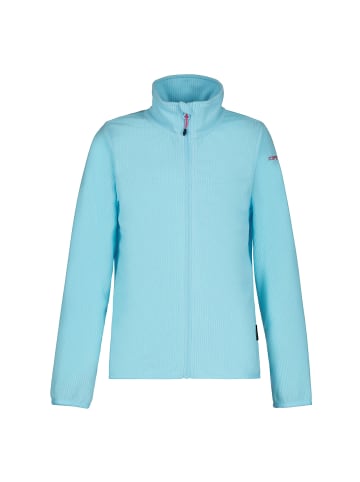 Icepeak Fleecejacke Kimball Jr in Hellblau