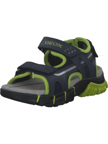 Geox Sandalen in navy/lime