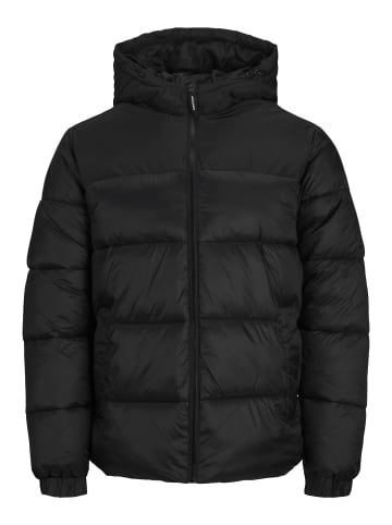 JACK & JONES PLUS Steppjacke in Black