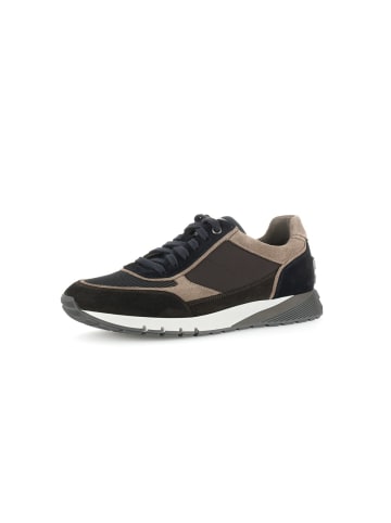 Pius Gabor Sneaker low in braun