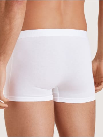 Calida New Boxer in weiss