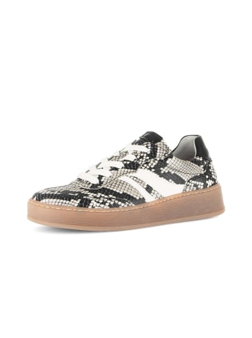 Gabor Sneaker low in multicolour